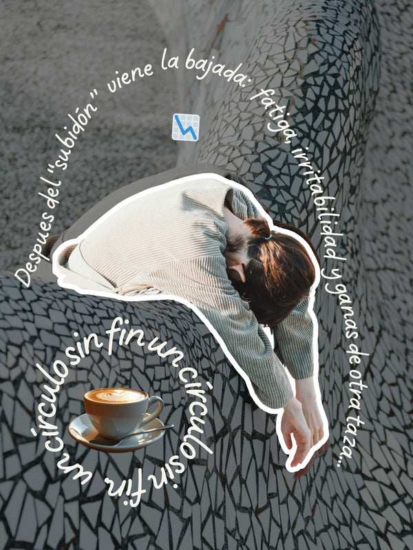 Un circulo sin fin...